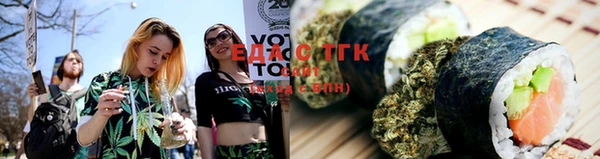 индика Абаза