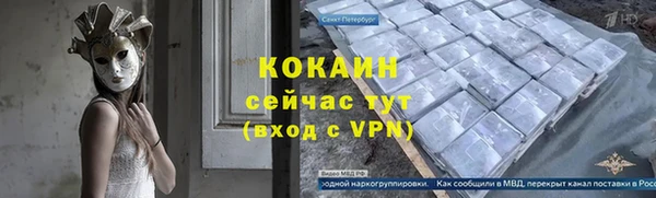 индика Абинск