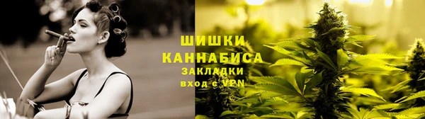 индика Абаза
