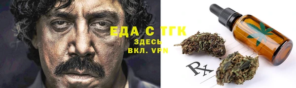 индика Абинск