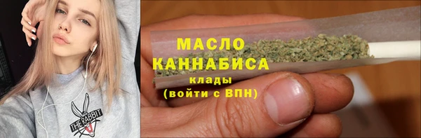 индика Абинск
