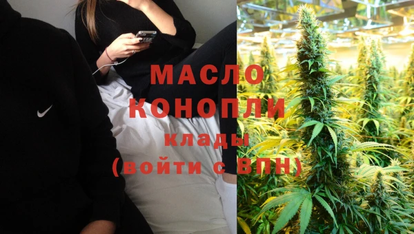 индика Абаза