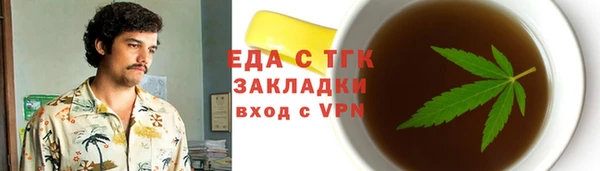 индика Абаза