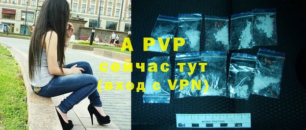 индика Абаза