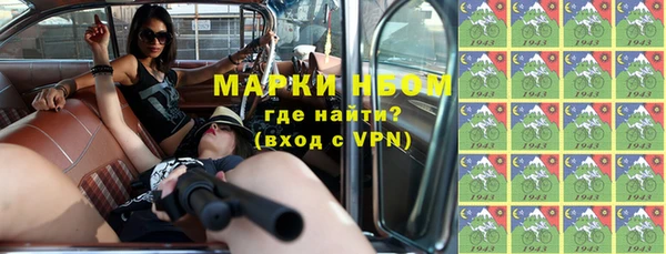 индика Абаза