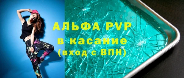 индика Абинск