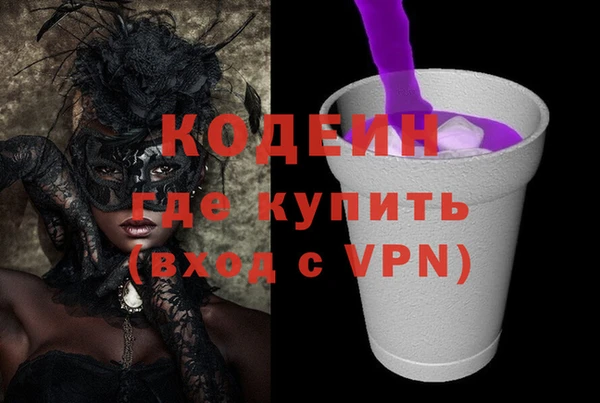 индика Абинск