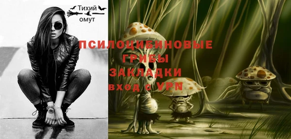 индика Абаза