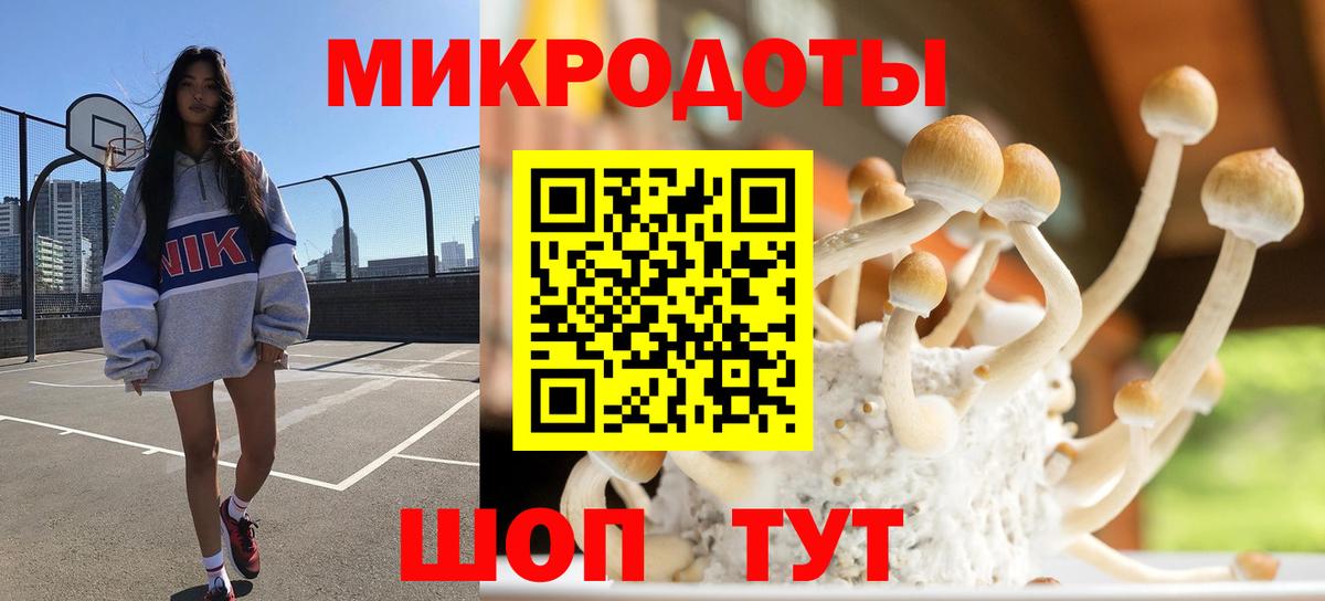 Назрань  дарнет шоп  Вход с VPN  Галлюциногенные грибы MAGIC MUSHROOMS 